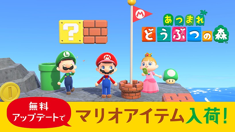 Nintendo Switch あつまれどうぶつの森 マリオカセット付き - intranet.iesab.com.br